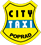 CITYTAXI logo small